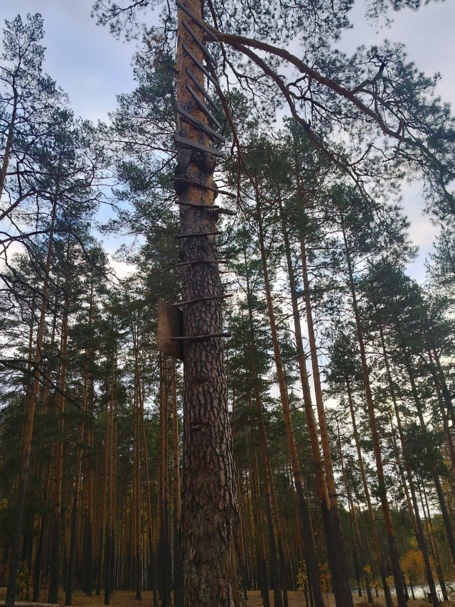 Осень на озёрах 2