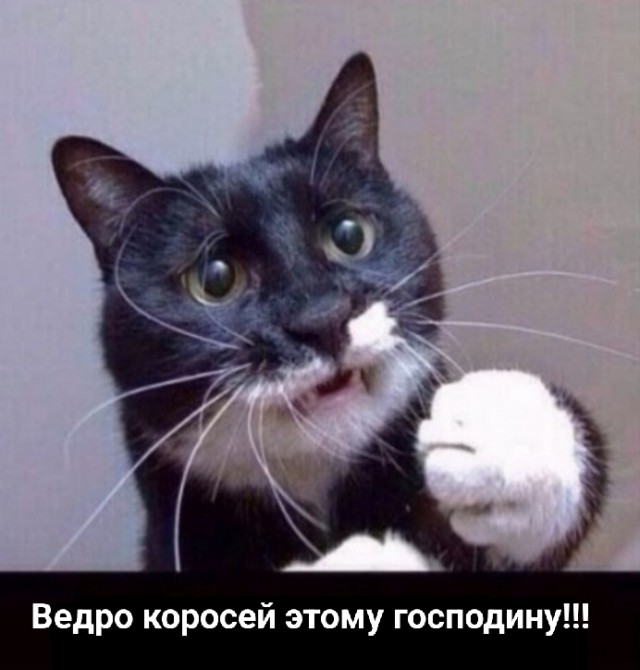 Почувствуйте разницу
