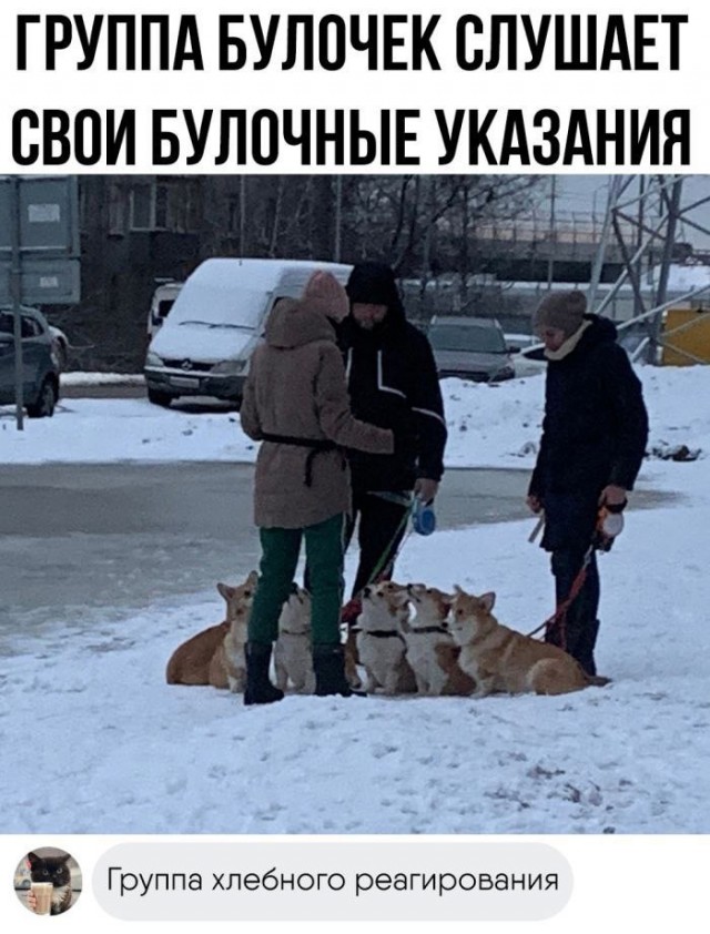 Немного забавных картинок от 01.12.2024