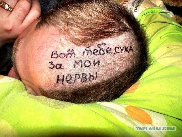 Веселые картинки в пятницу (04.04)