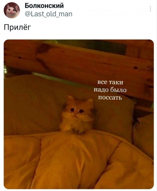 И всё, и пиздец