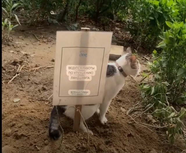 Самый ответственный работник в этой фирме ландшафтного дизайна