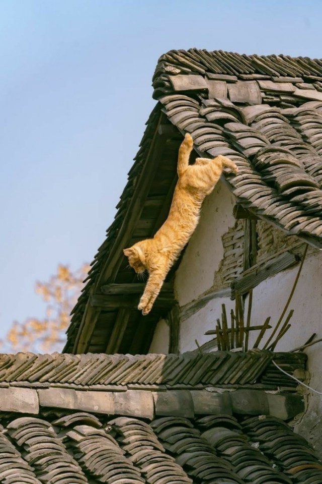 Прикольные и просто красивые картинки