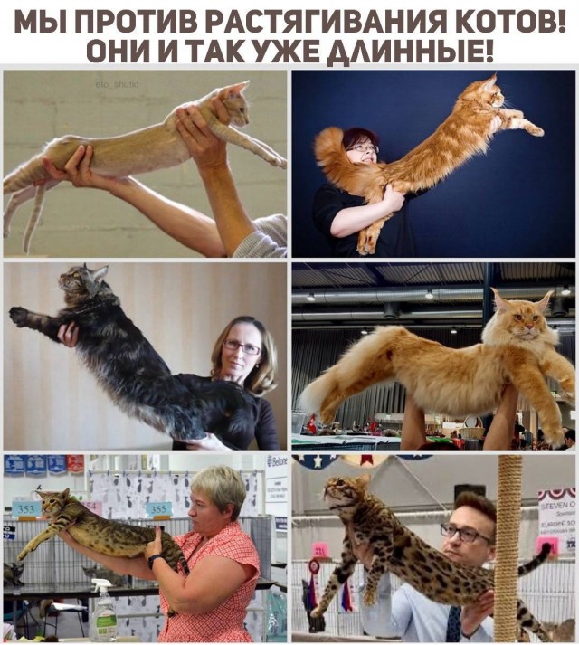 Так себе картинки 11.07.25