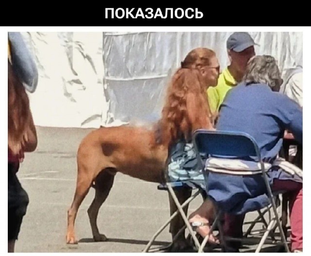 Немного картинкафф для настроения (баяны-перебаяны)