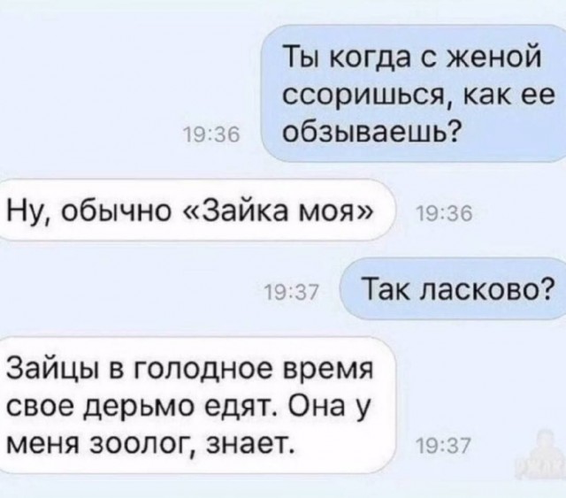 Веселое настроение в картинках (15.10.2025)