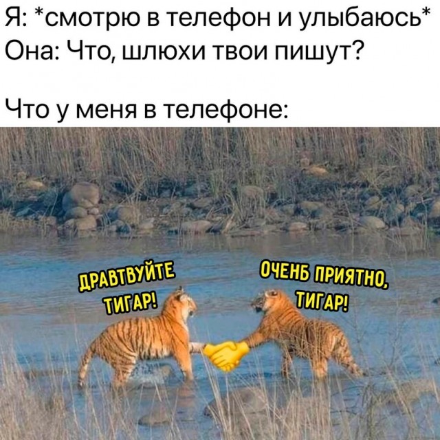 Картинки для деградации 99 (разной степени свежести)