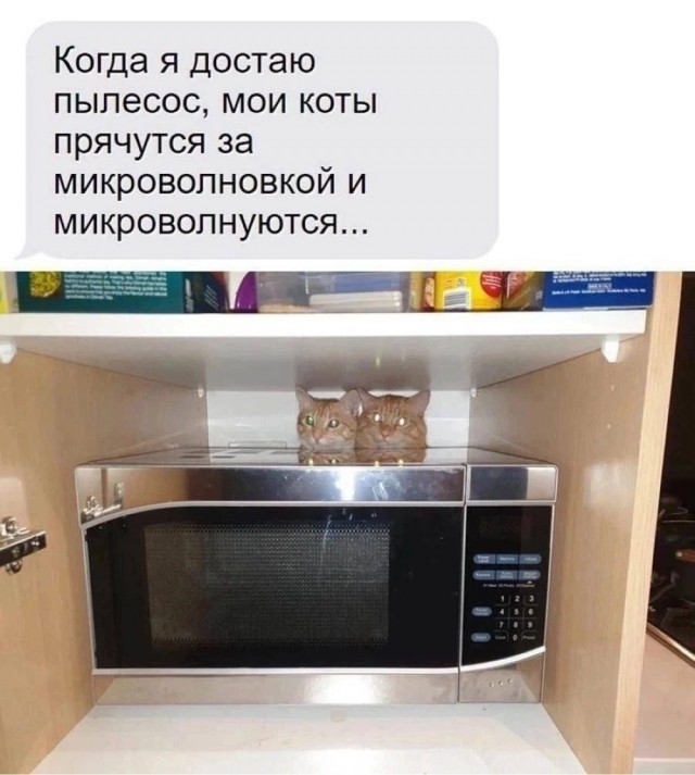 Среды картинки