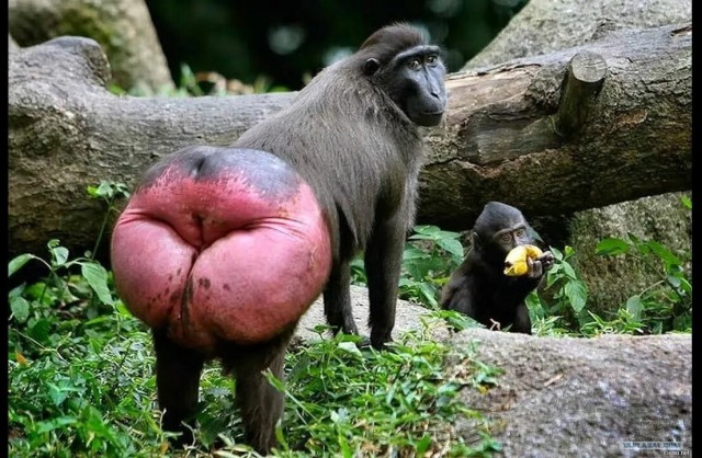 И сцуко эти на Приорах, в такую погоду быкуют