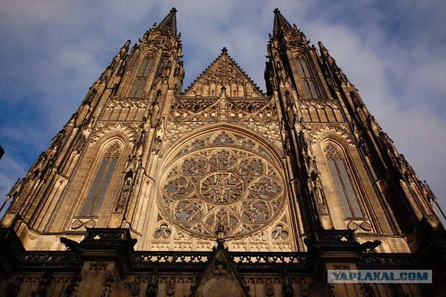 Видеоролики. Коротыши, набор