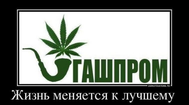 Ученые установили неэффективность каннабиса для лечения психических расстройств