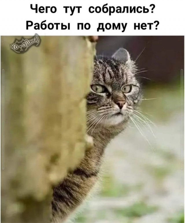 Среды картинки