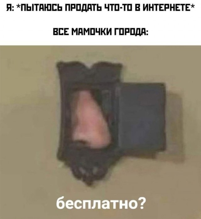 Картинки новые и старые, баяны и аккордеоны