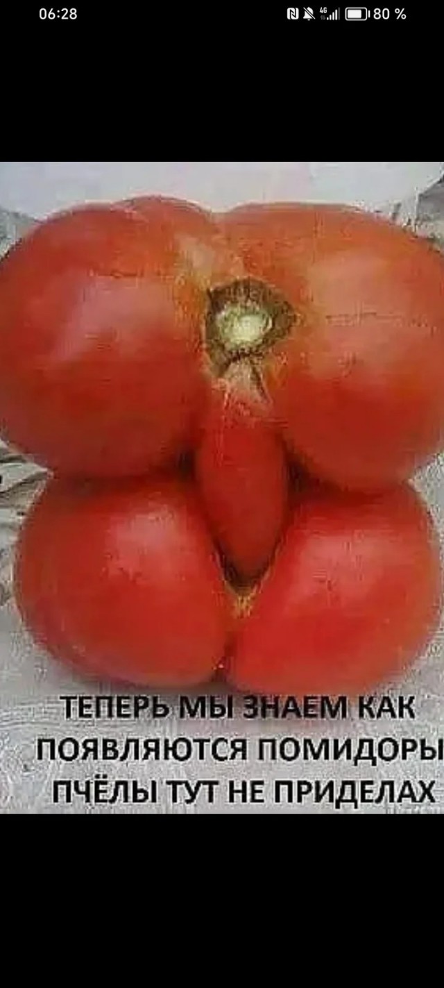 Зацените попку