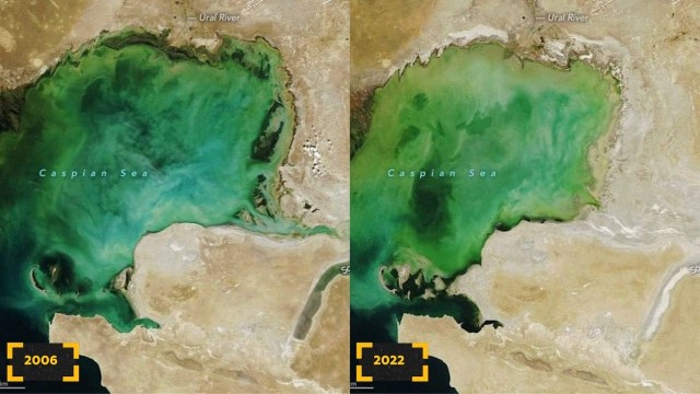 Каспийское море стремительно уменьшится и обмельчает в ближайшие 5–10 лет