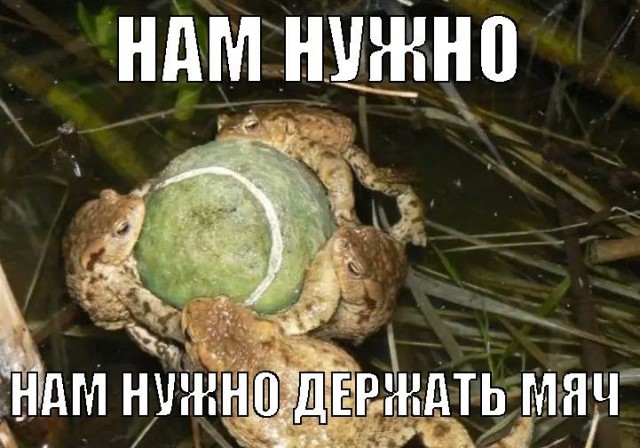 Картинки для деградации 222 (разной степени свежести)