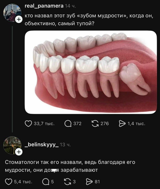 Так себе картинки 29.07.26