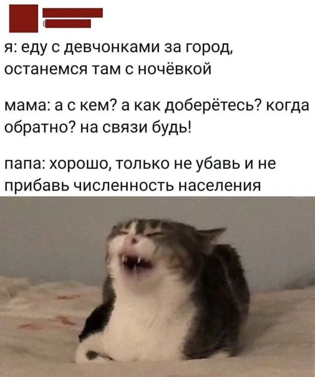 Маленькая пятница