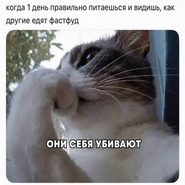 Веселые картинки в последний день лета (31.02)