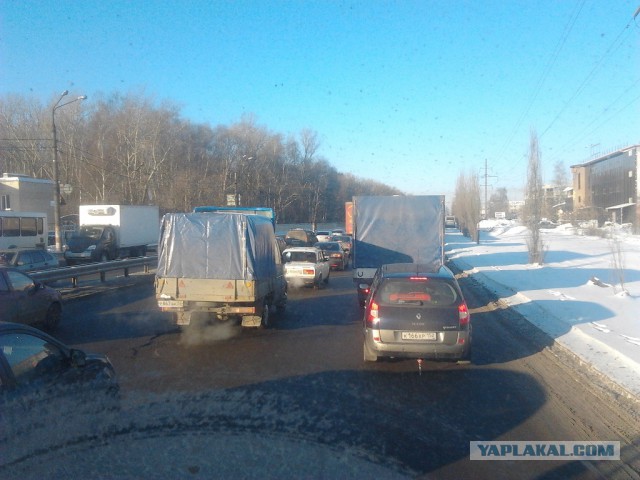 Где яблоки растут!