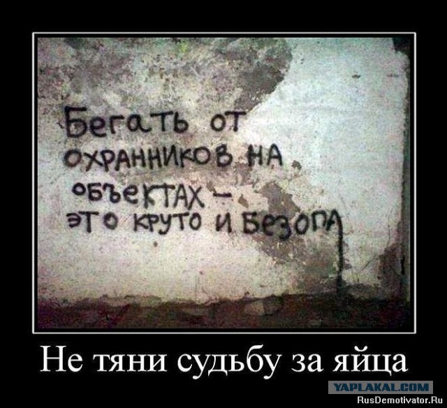 Демотиваторы.