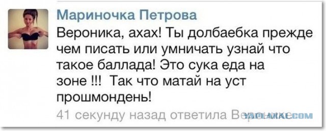 Грамматнасть и нтилехт вконтактовских обитателей
