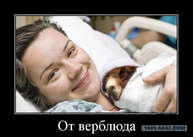 Горе девушки
