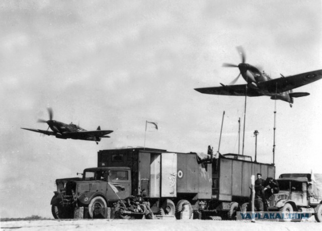 Wargaming 12, WoT сотоварищи