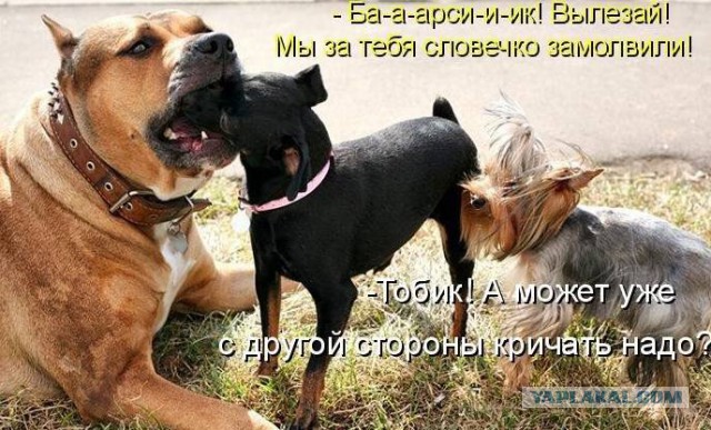 Записки собаковода