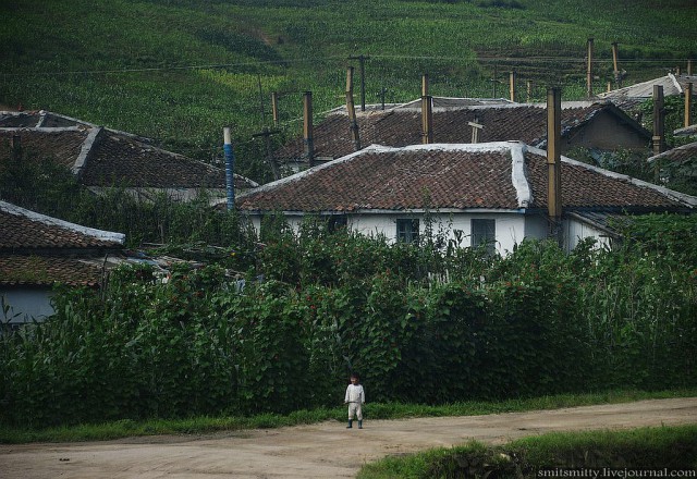 КНДР приоткрыла экспортные ворота для РФ