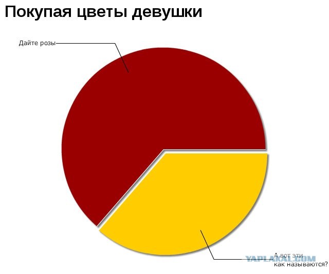 Две самые популярные фразы парней