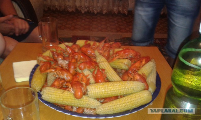 Последнее фото с Вашего телефона.