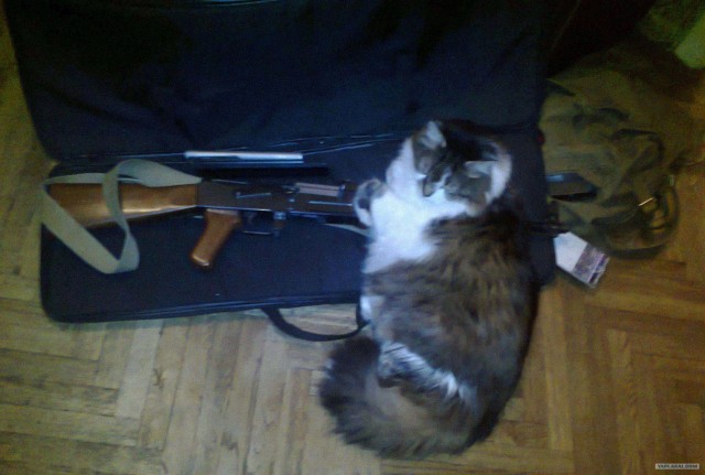 Айрсофт в лицах