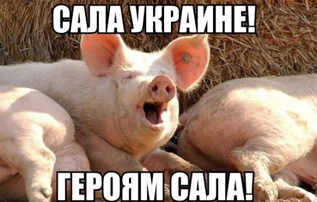 Русский марш - прямой эфир из Москвы