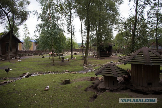 Отпуск в Беларуси
