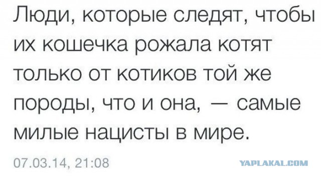 Хватит негатива на сегодня, пятница же!