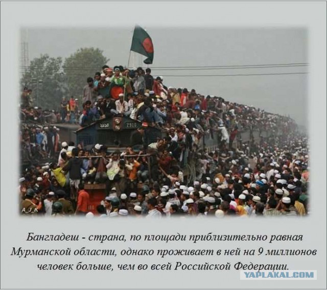 20 фактов обо всем