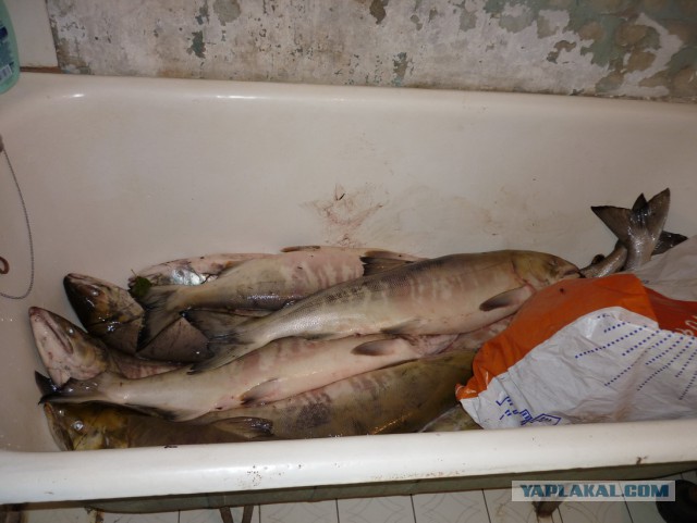 Какие продукты уникальны для Вашего региона?