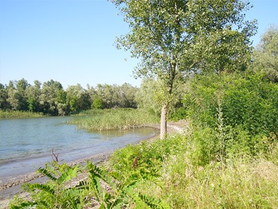 Отдых на реке вне закона?