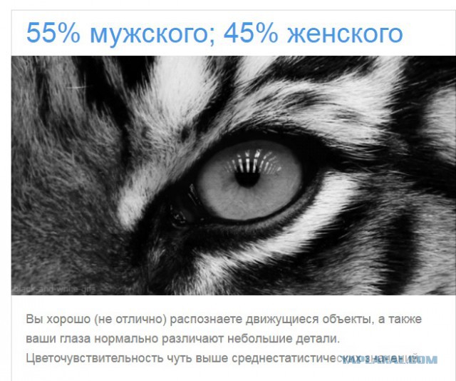 Тест: Вы воспринимаете этот мир глазами мужчины или женщины?