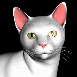 Вторничные кошаки
