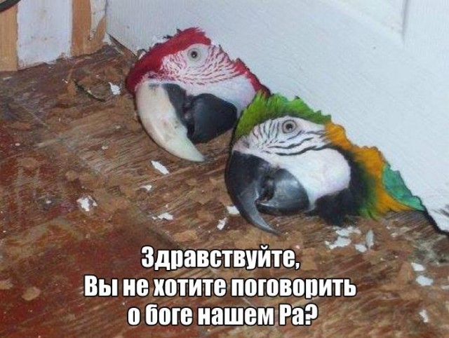 Интересные и веселые картинки