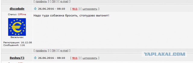 Операция по спасению кота из вентиляционной шахты завершена успешно!