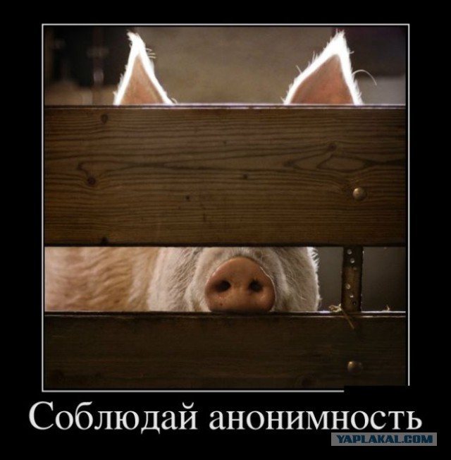 Есть смешные (картинки)