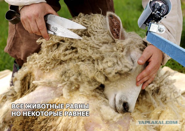 Автомобилисты Саратова начали бить операторов мобильных камер фиксации