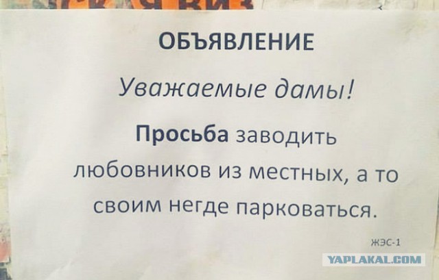15 душевных объявлений из наших подъездов
