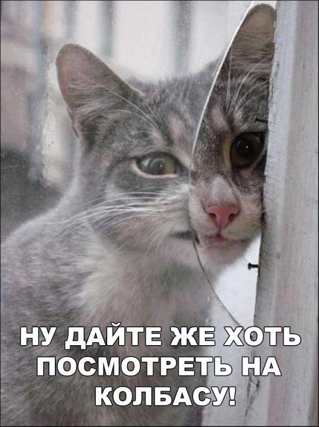 Картинки на пятницу
