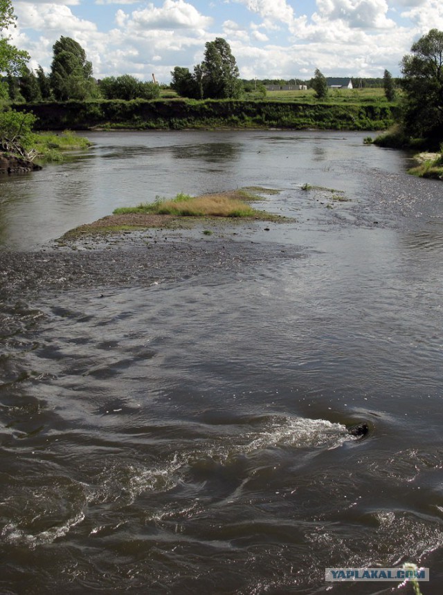 Тоска по лету и жидкой воде