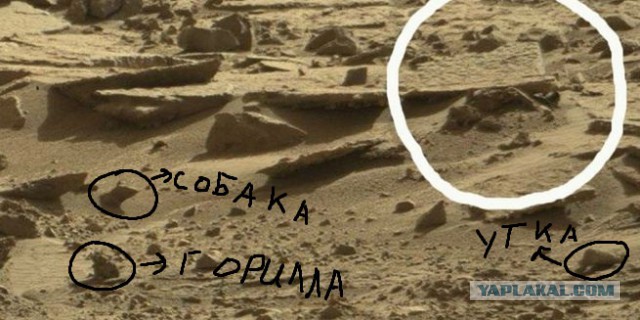 Уфологу удалось получить снимки трупа инопланетянина
