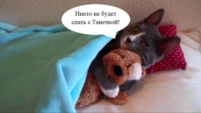 КОКОС 2.1. Внеконкурс